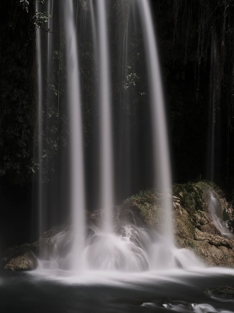 Enchanted paradises