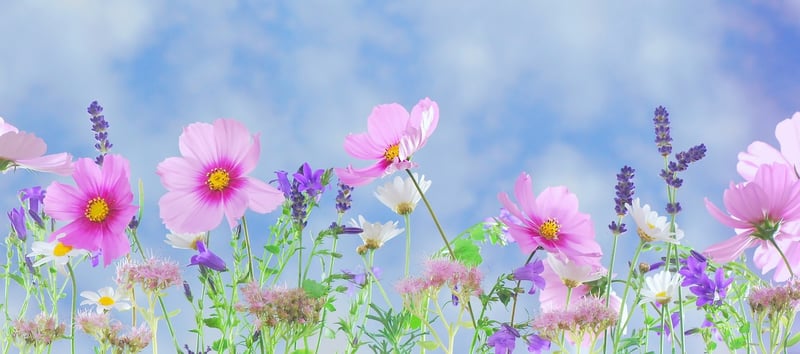 Fairies in the Garden