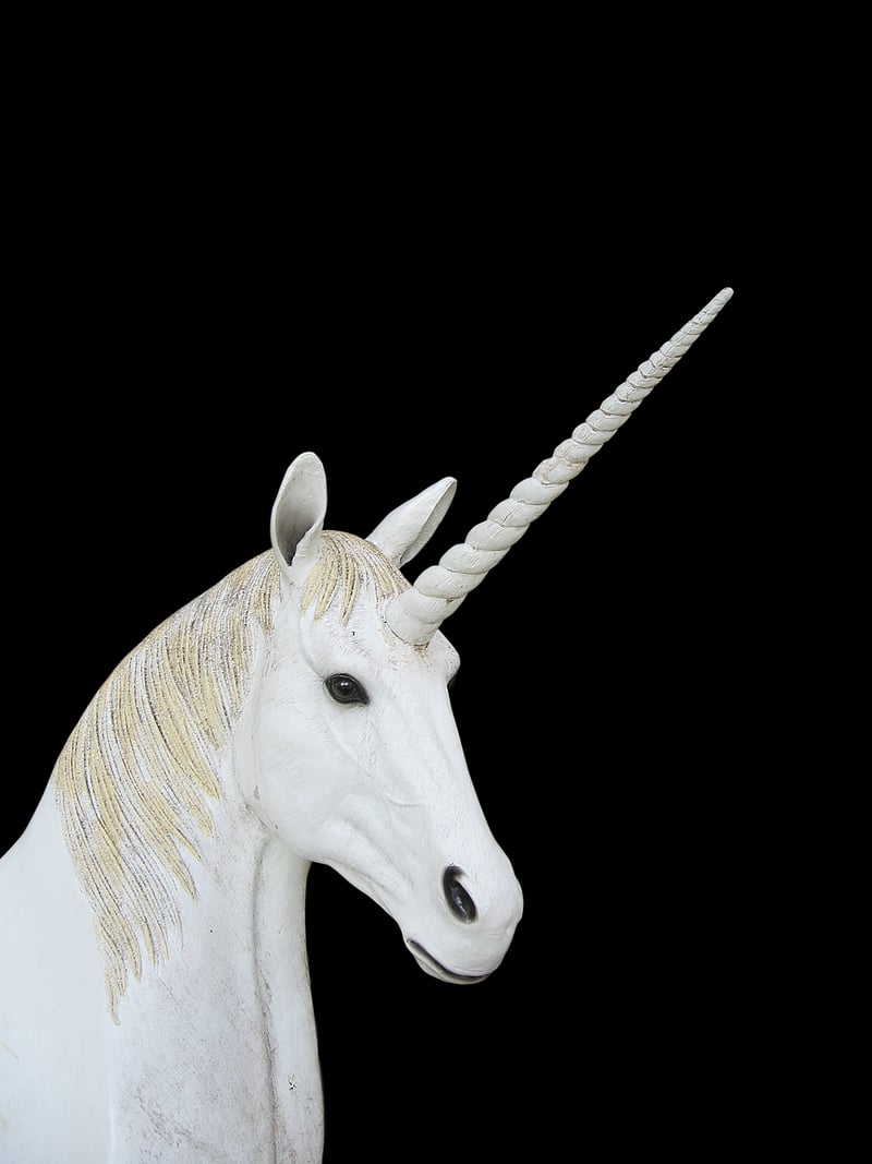 Unicorn in the Garden